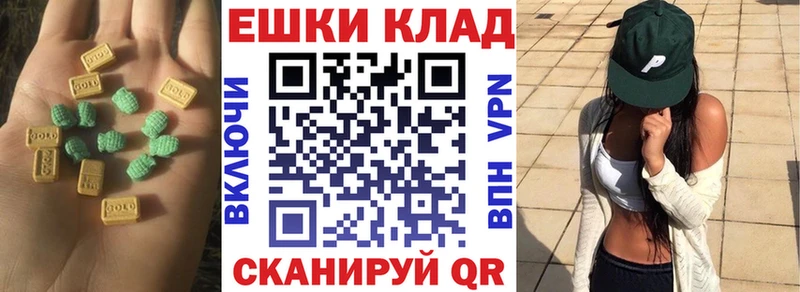 закладки  блэк спрут вход  Экстази круглые  Могоча 