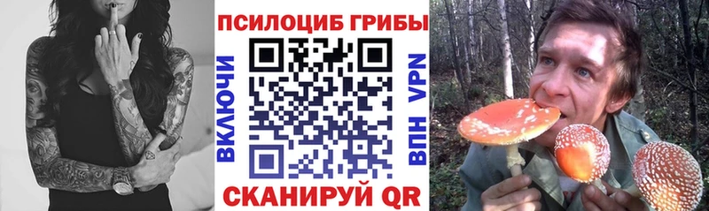 Галлюциногенные грибы мицелий OMG ссылка Могоча