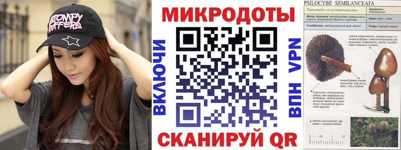 Галлюциногенные грибы мицелий Могоча